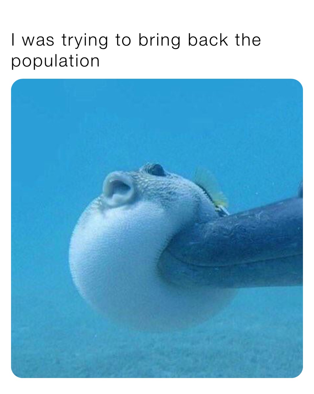 I was trying to bring back the population