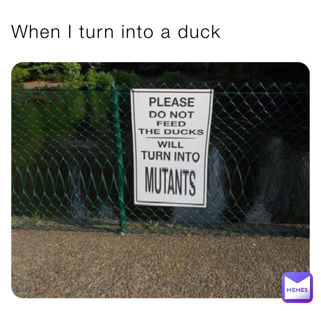 When I turn into a duck | @Aisha1212 | Memes