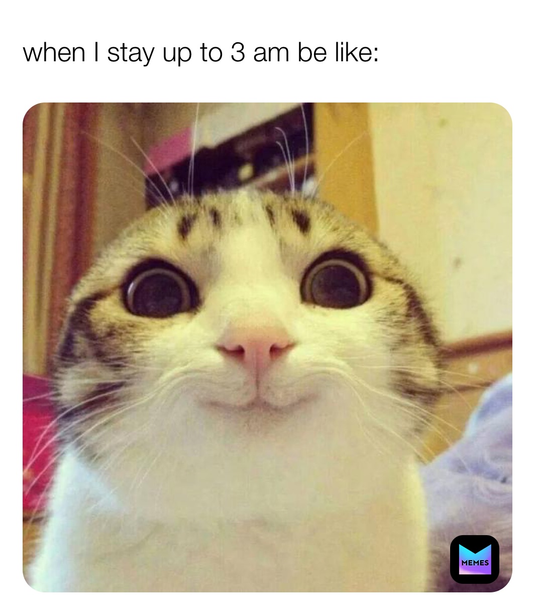 Meme by dragon__memes