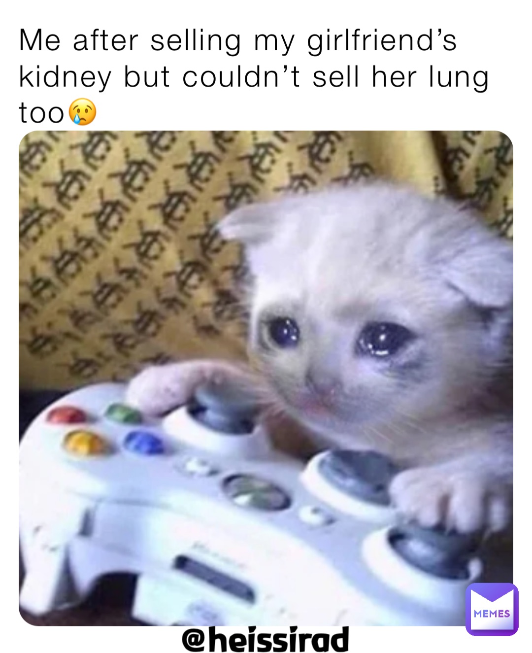 Me after selling my girlfriend’s kidney but couldn’t sell her lung too😢 @heissirad