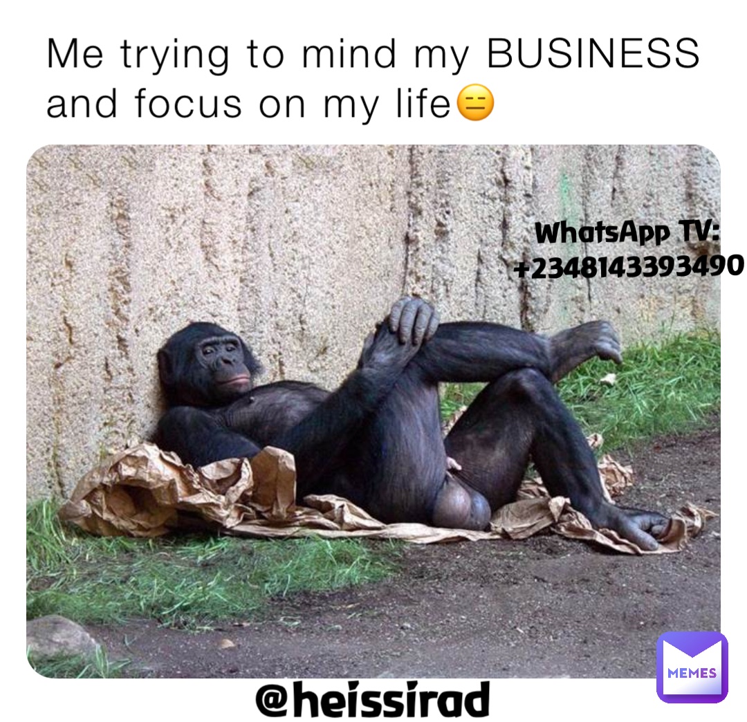 Me trying to mind my BUSINESS and focus on my life😑 @heissirad WhatsApp TV:
+2348143393490