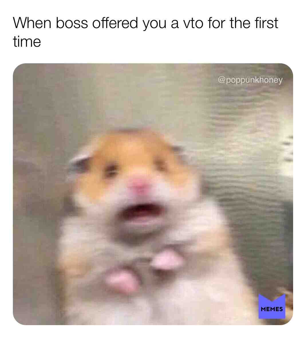 Meme shared by @signbrat04