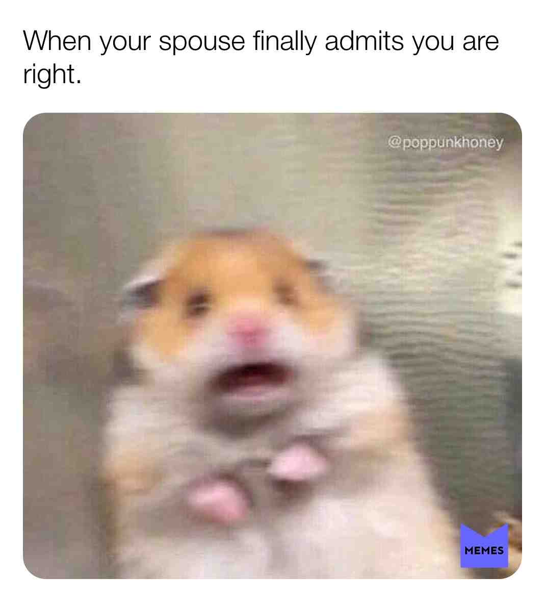 Meme shared by @signbrat04