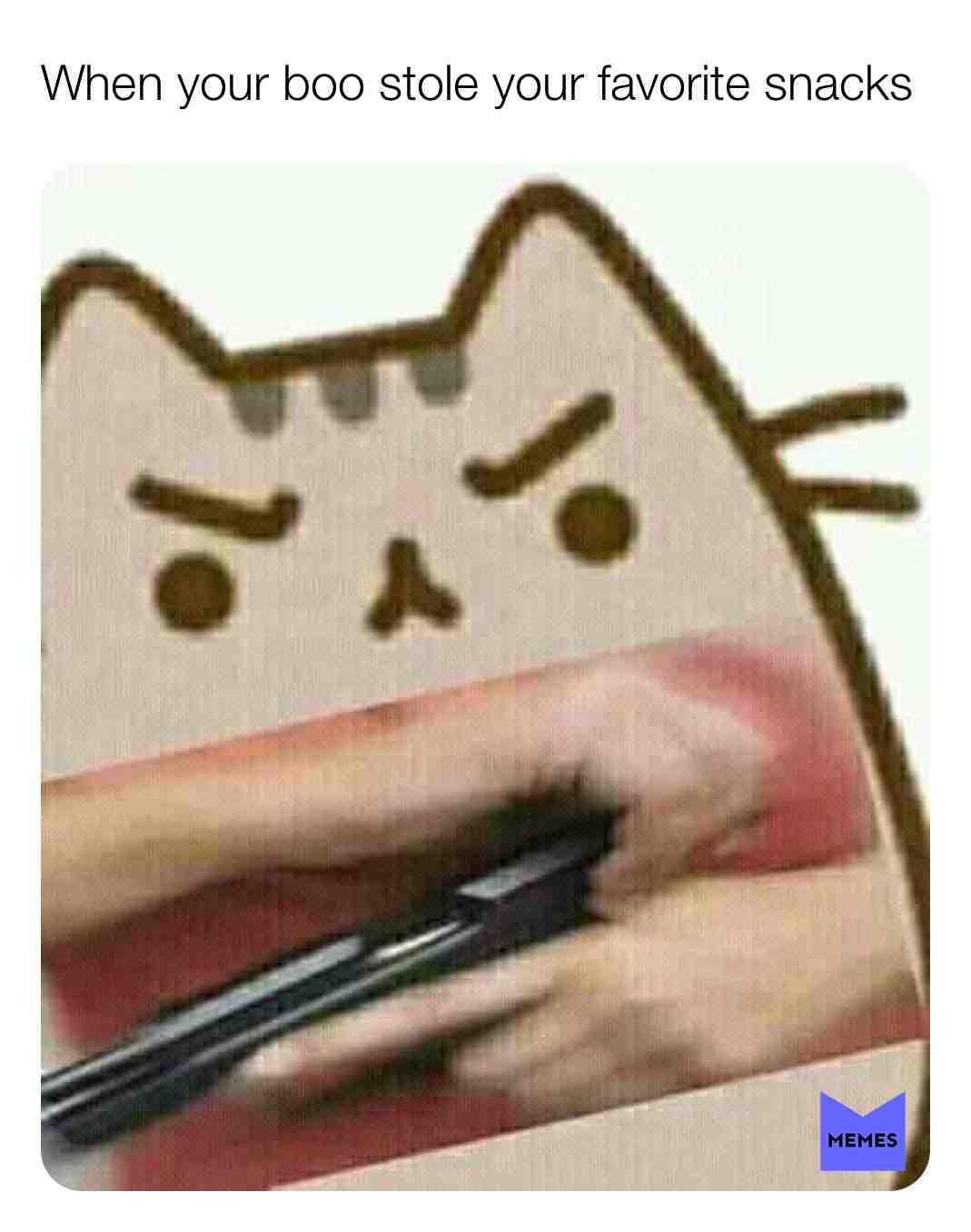 Meme shared by @signbrat04