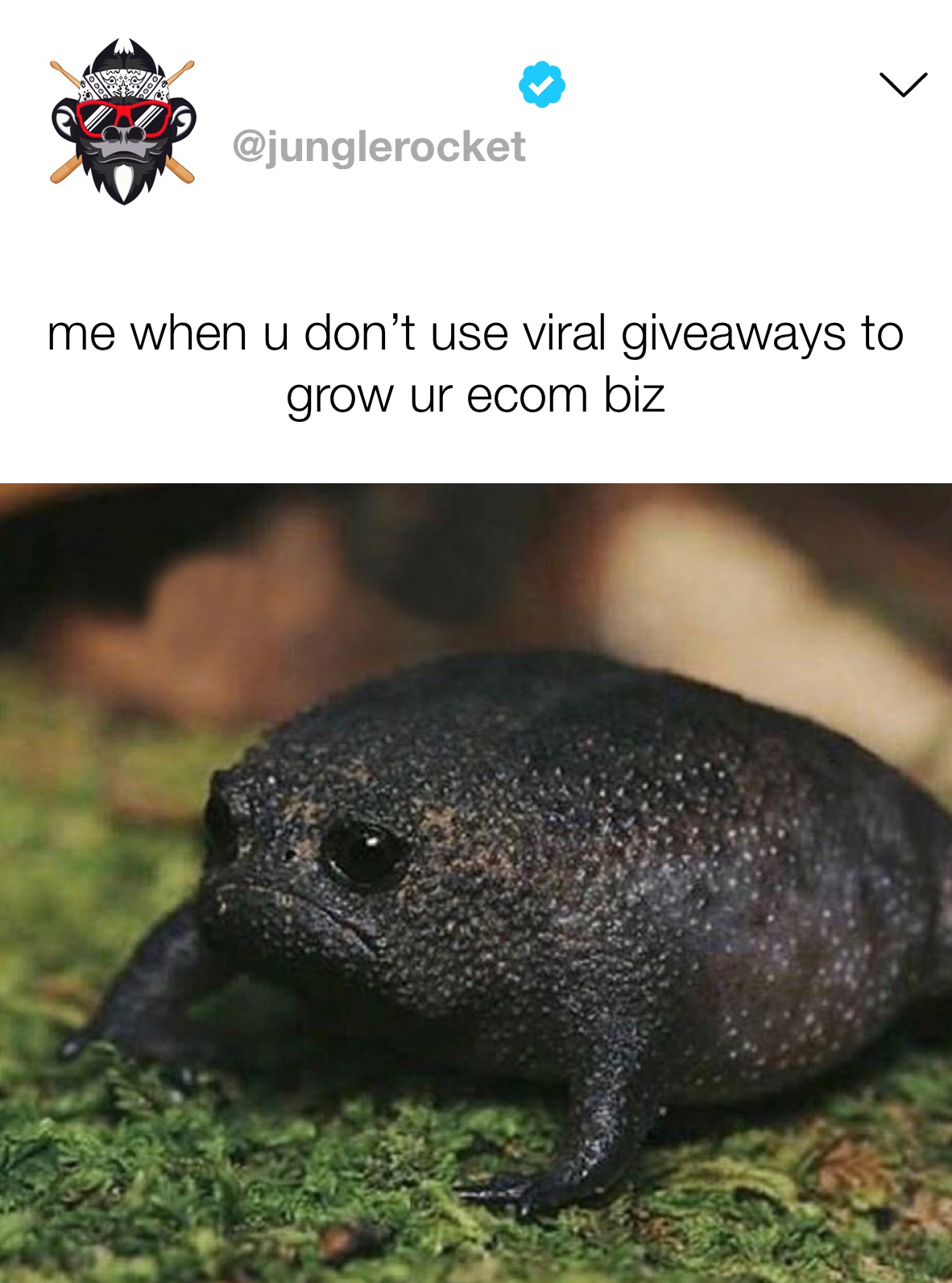 Meme by junglerocket