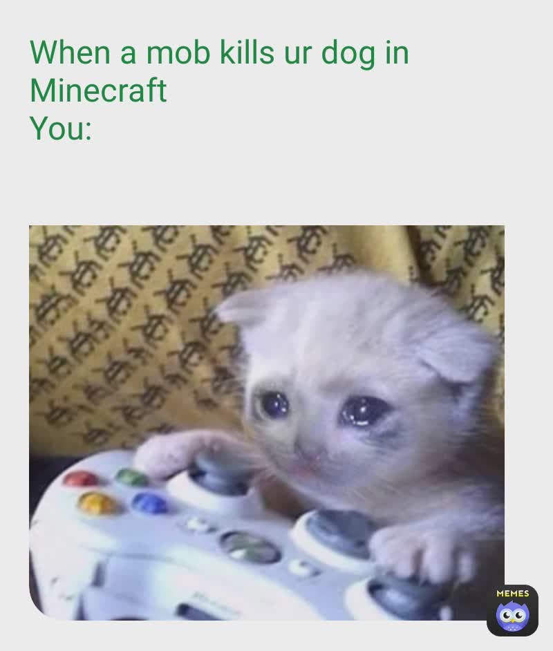 Meme by LILXD_SASUKE