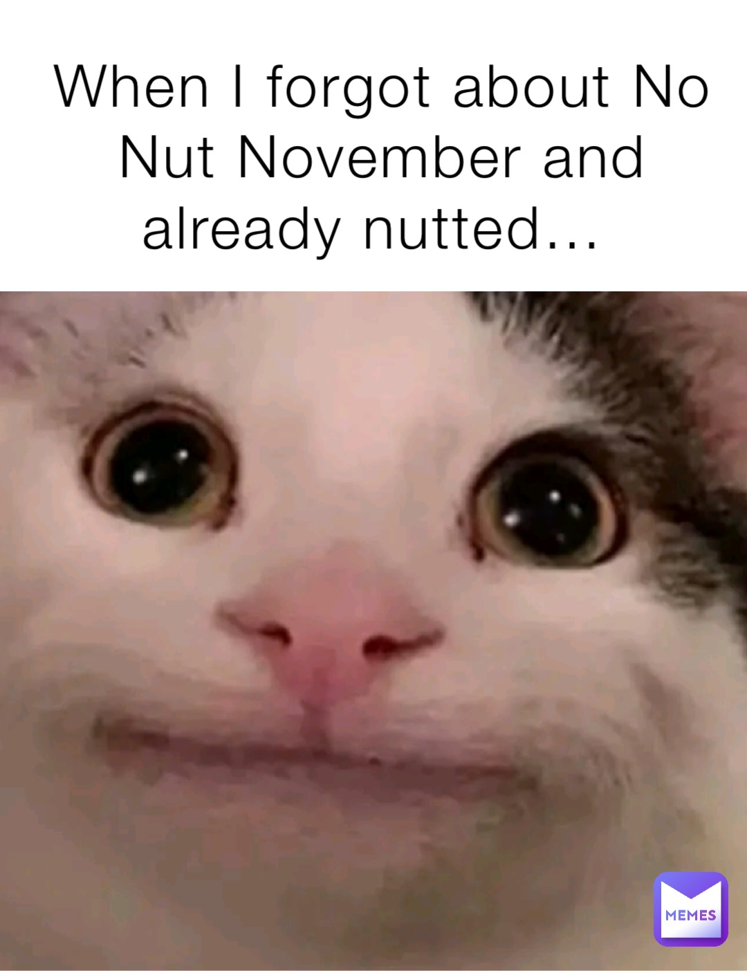 When I forgot about No Nut November and already nutted…