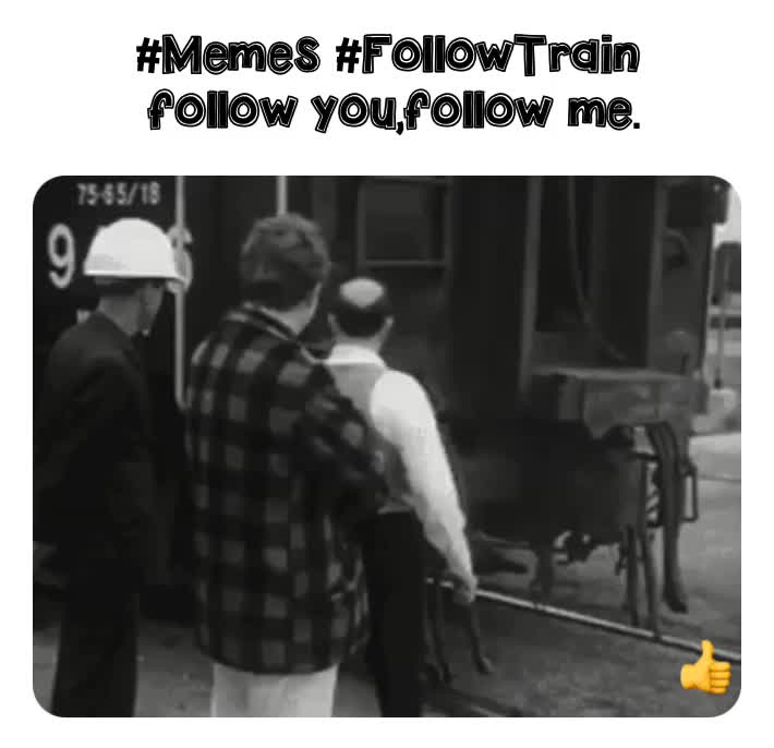 #Memes  #Like  #followu  #followme  #FollowBack   #buffalomafia #followtrain