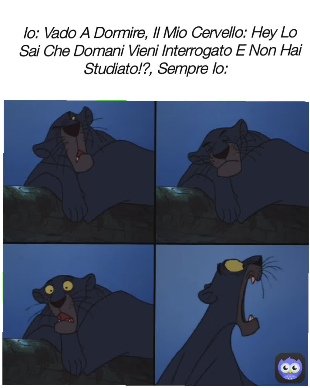 Io: Vado A Dormire, Il Mio Cervello: Hey Lo Sai Che Domani Vieni Interrogato E Non Hai Studiato!?, Sempre Io: