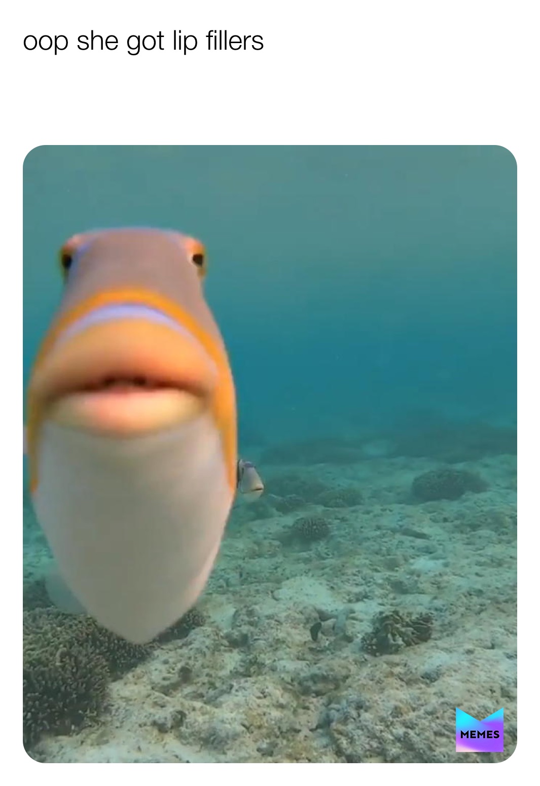 Meme by golden_girls_rule_the_world