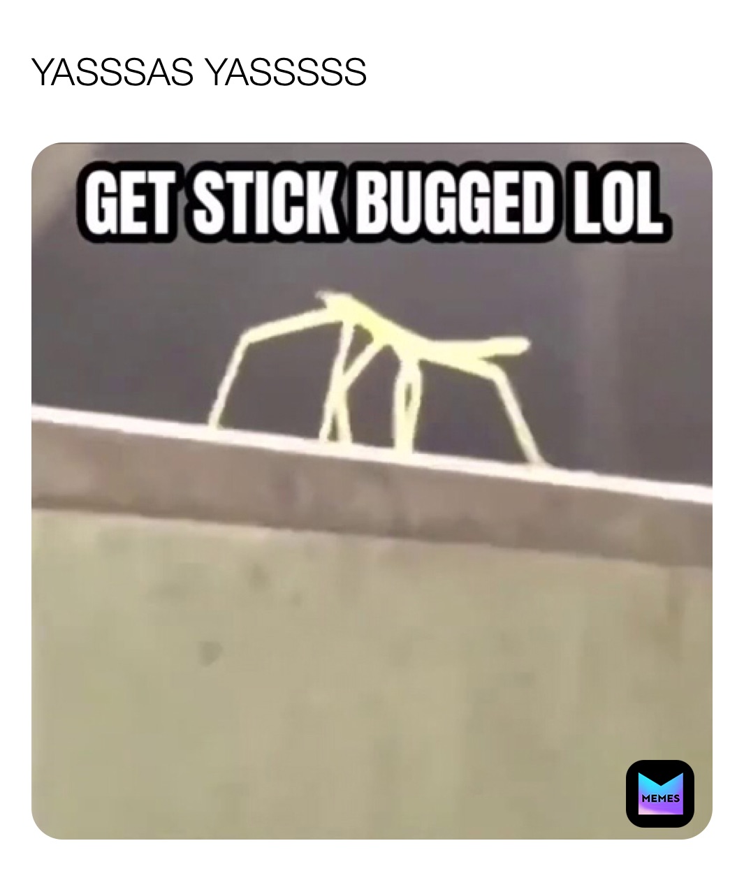 Meme by golden_girls_rule_the_world