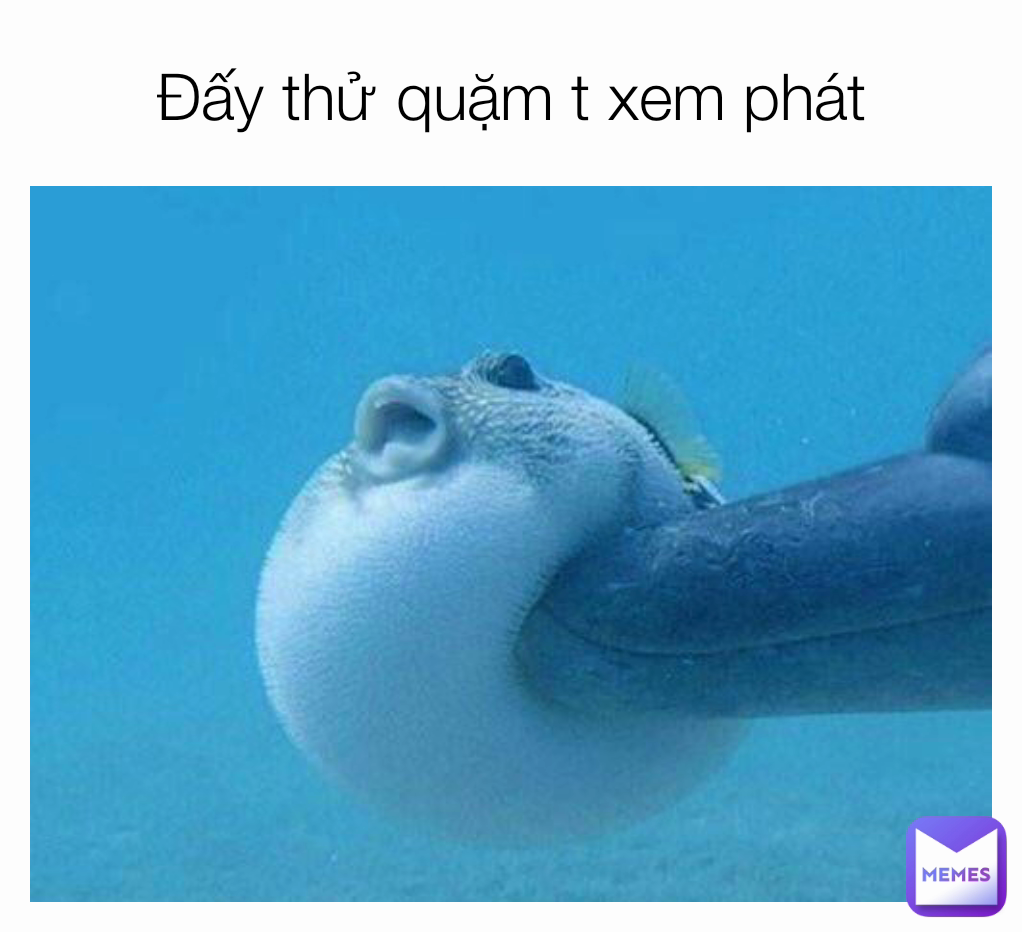 Đấy thử quặm t xem phát