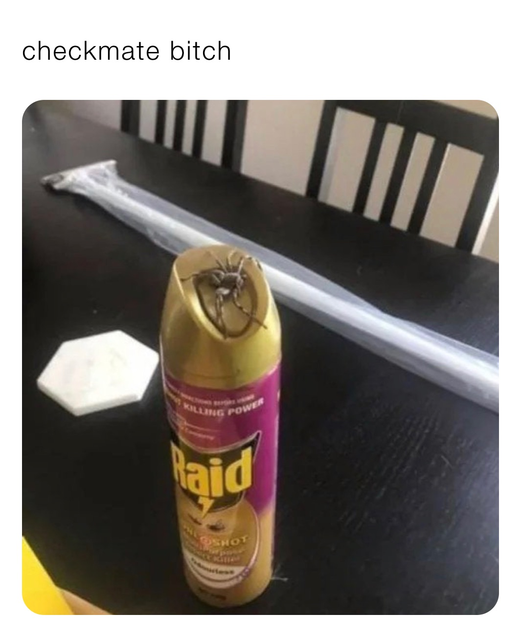 checkmate bitch