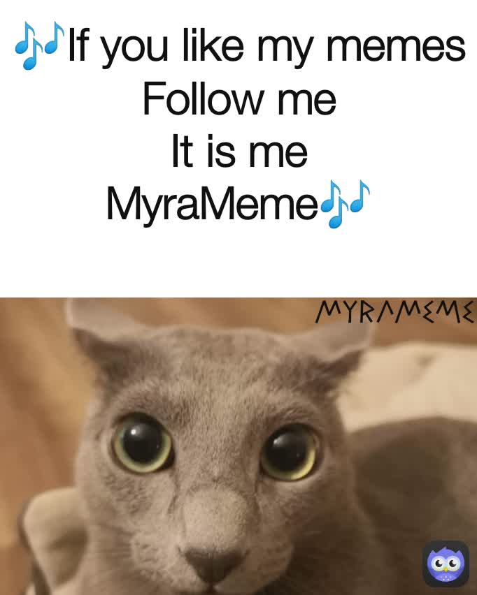 MyraMeme 🎶If you like my memes Follow me
It is me
MyraMeme🎶
