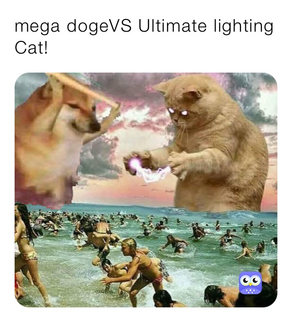mega dogeVS Ultimate lighting Cat!