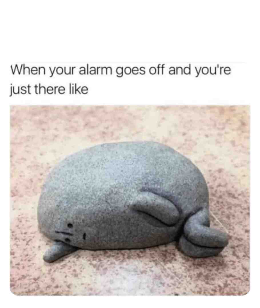 Meme shared by @mrbeans