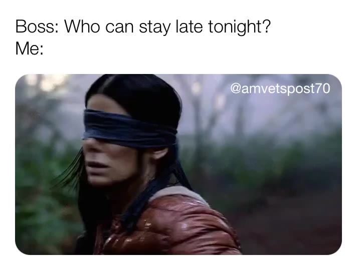 #sorrynotsorry  #workflow  #birdbox  #Friday  #funny  #funnymemes