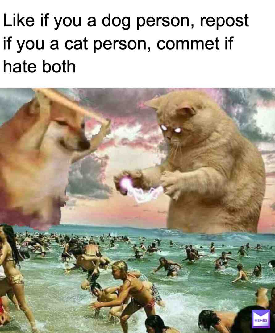 Meme shared by @Wilsons_Son