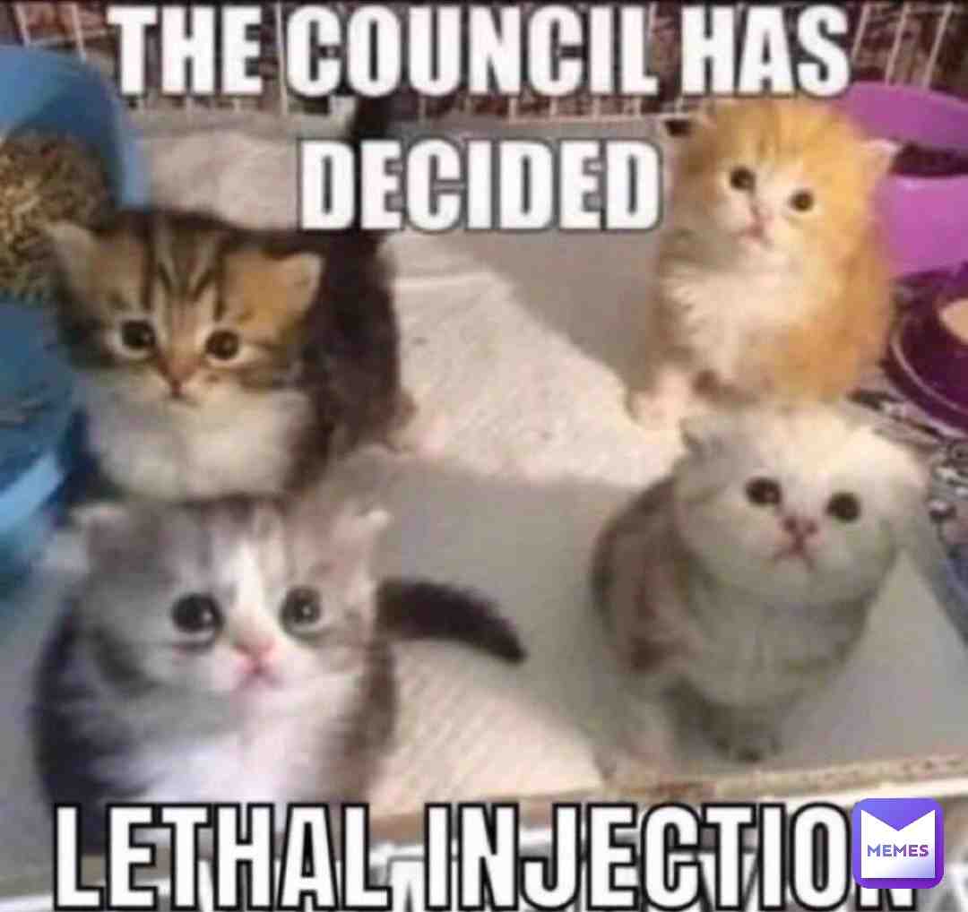 Meme shared by @Wilsons_Son
