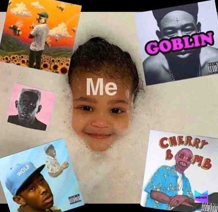 Facts tho  #tylerthecreator  #flowerboy  #meme  #followme  #music