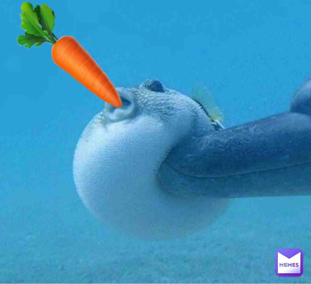 #carrot