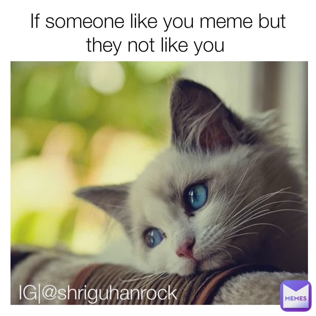If someone like you meme but they not like you  IG|@shriguhanrock 