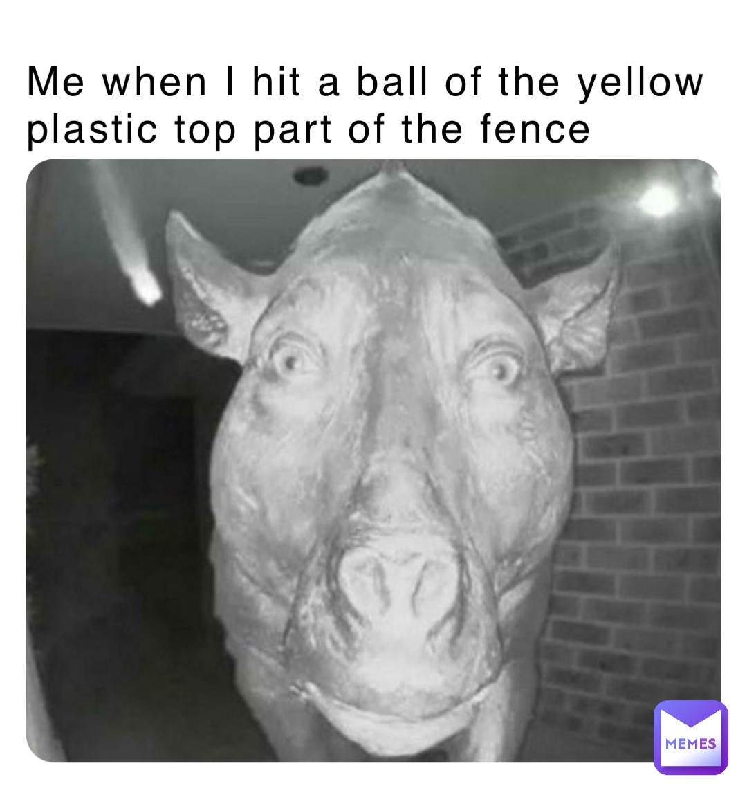 Me when I hit a ball of the yellow plastic top part of the fence