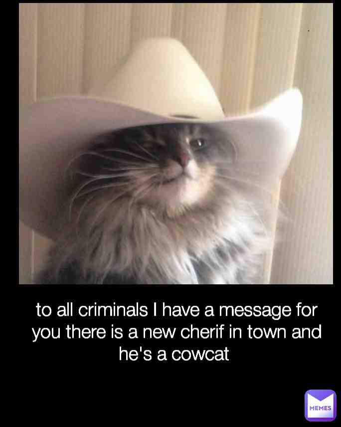 Meme shared by @ice_man_1