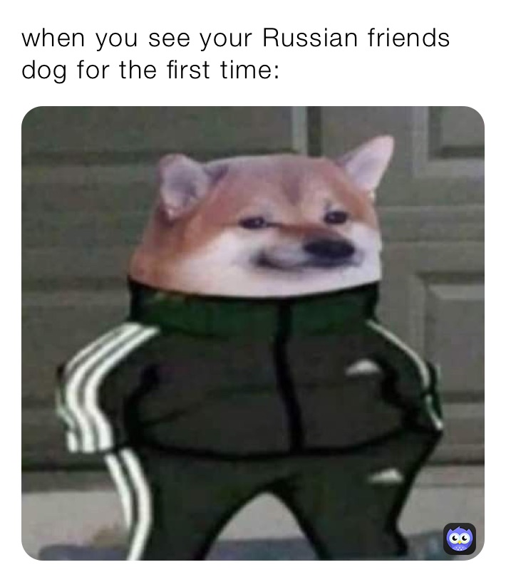 when you see your Russian friends dog for the first time: