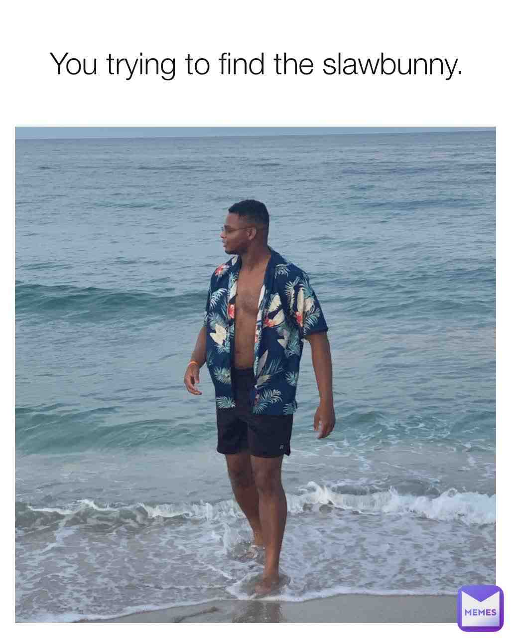 Meme shared by @hurdleturtle