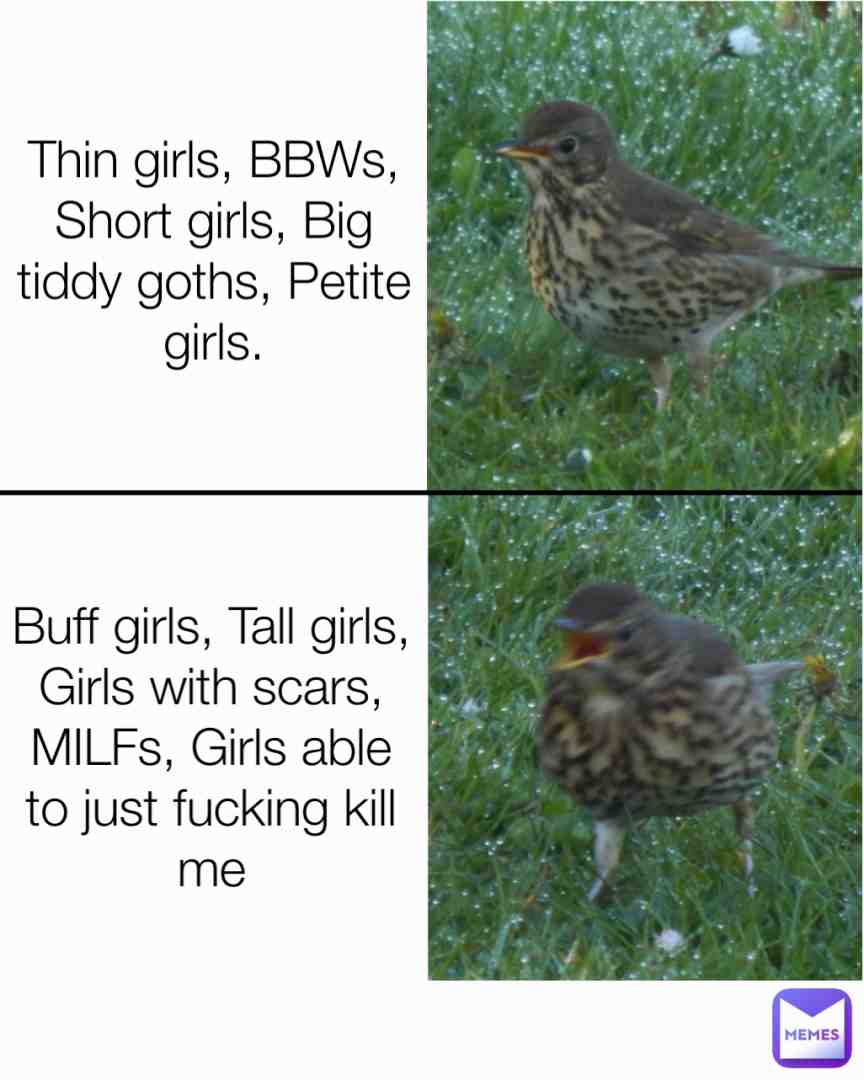 Meme shared by @hurdleturtle