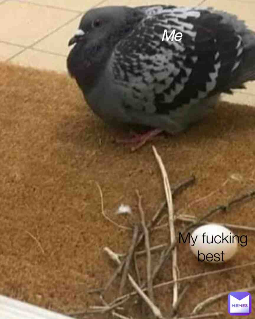 Meme shared by @hurdleturtle