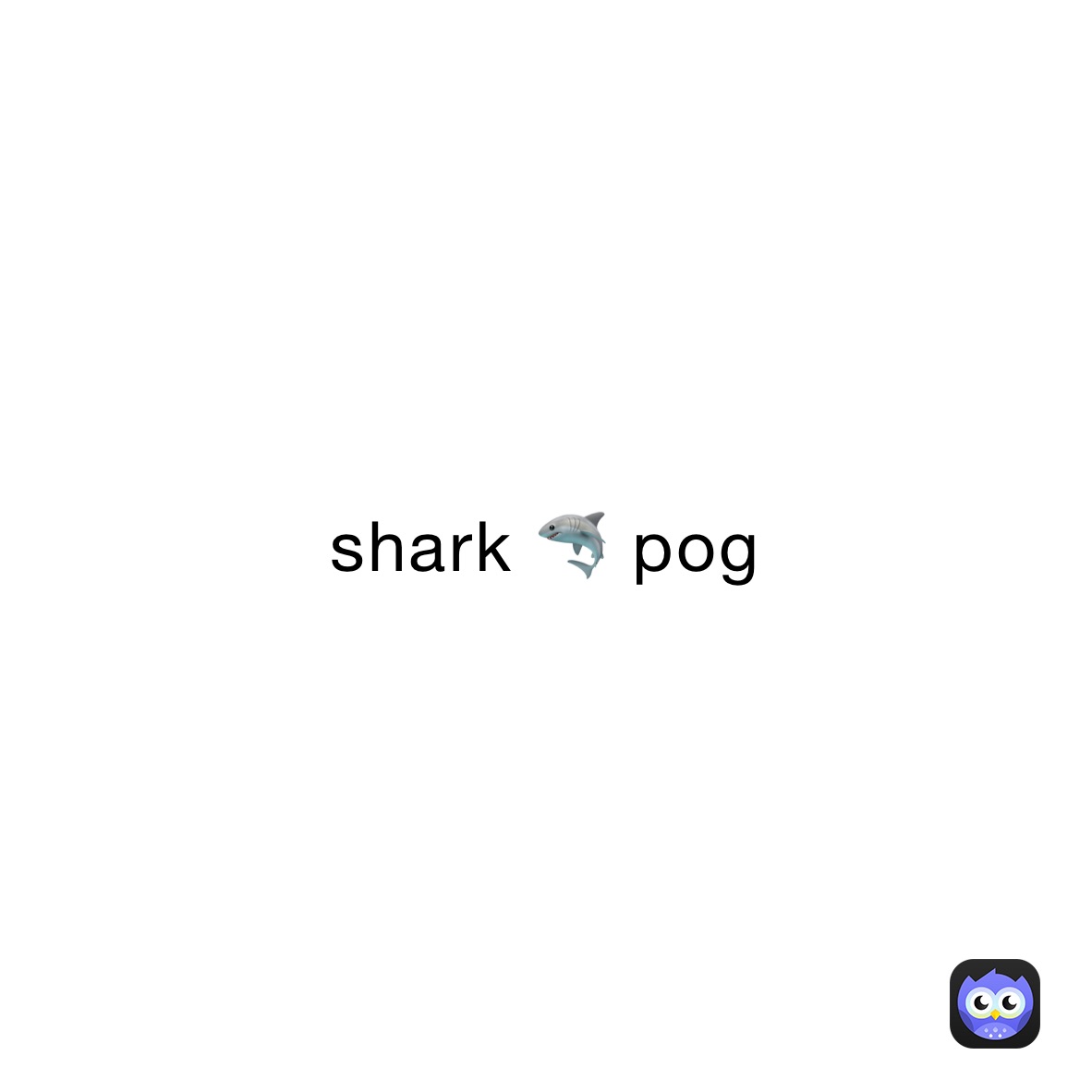 shark 🦈 pog 