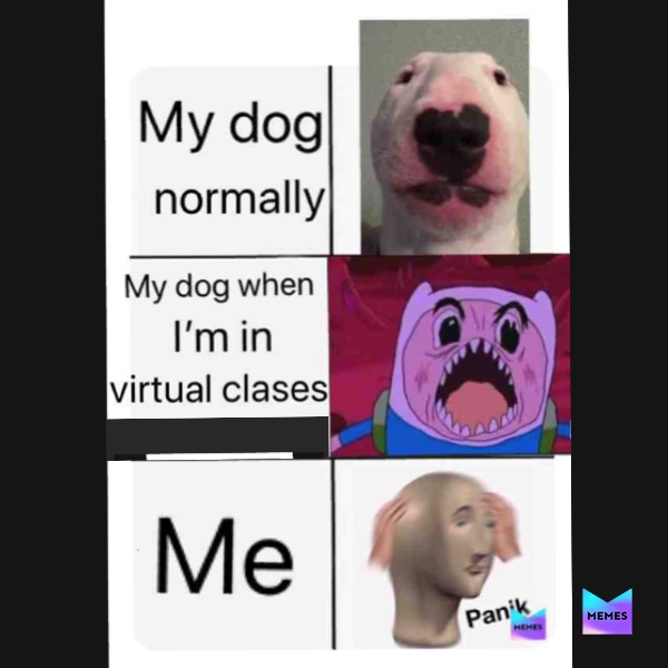 Meme by thereuhavesome_memes