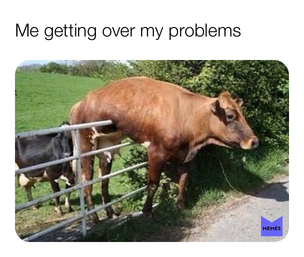 Meme by alex_sampson