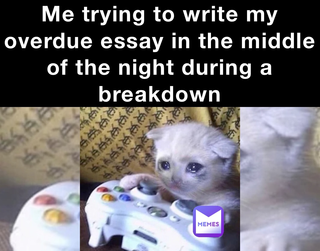 Me trying to write my overdue essay in the middle of the night during a breakdown