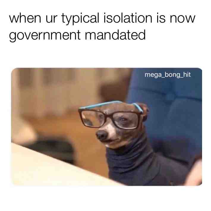  #quarantinememe #moderndystopia #stoner #memes
