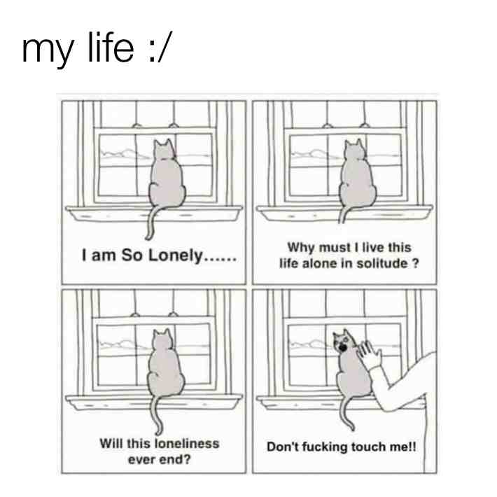 #memes #sadmemes