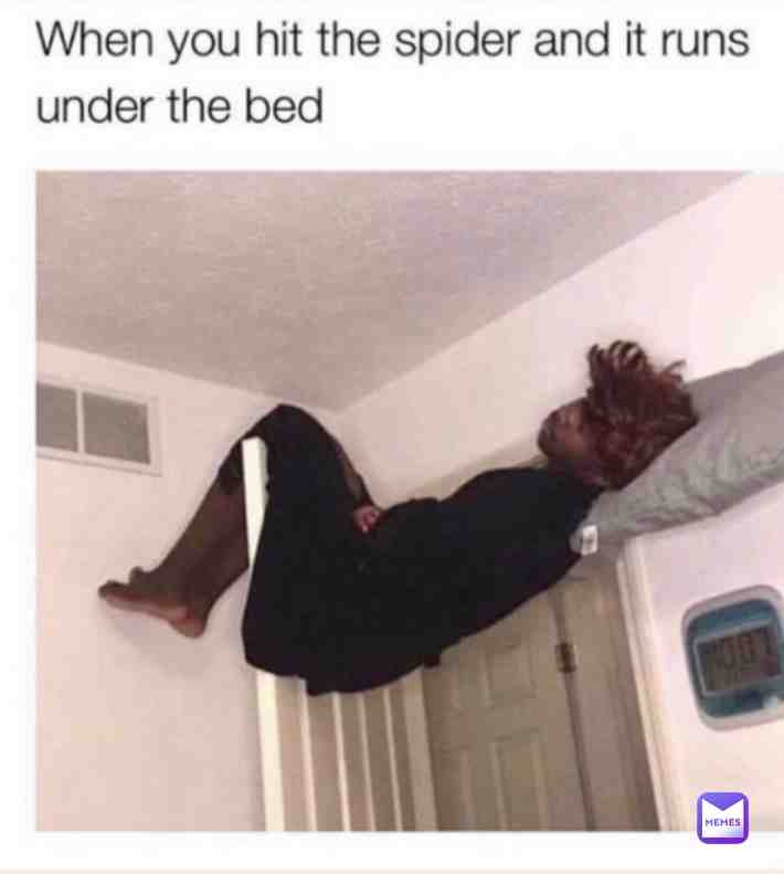 #memes #spider #spiders