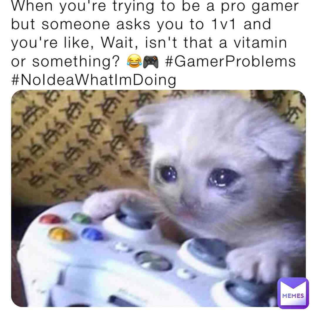 Meme shared by @Ur_girl_Rylee