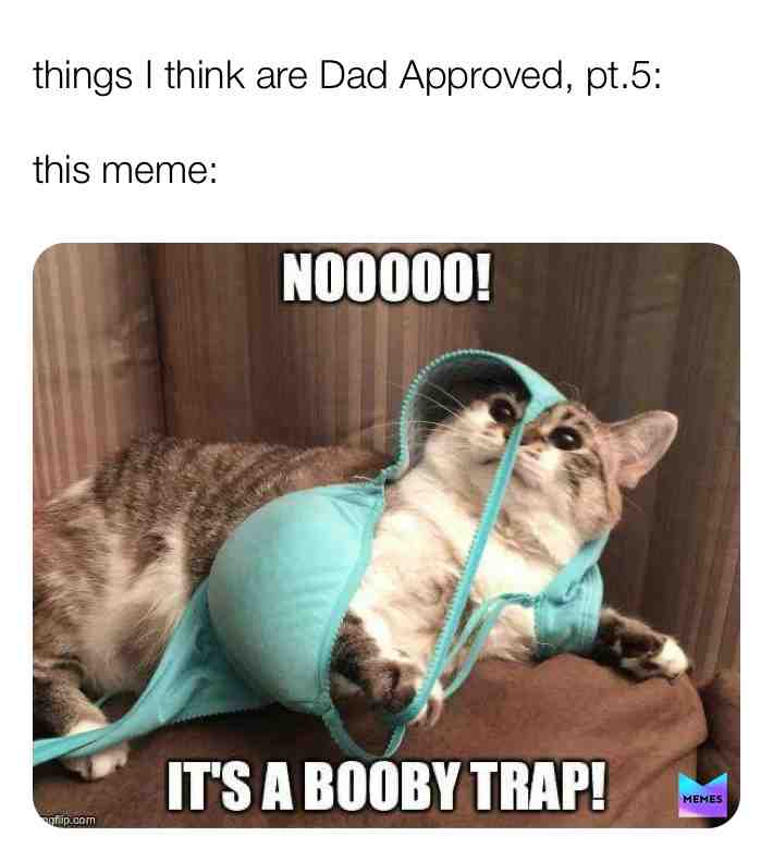 Lol QwQ #memes #relatable #dadjokes #help #imsorry #noimnot #funny #cat