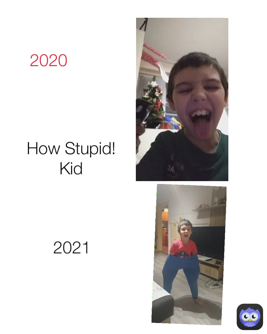 How Stupid! Kid 2021 2020 Homework