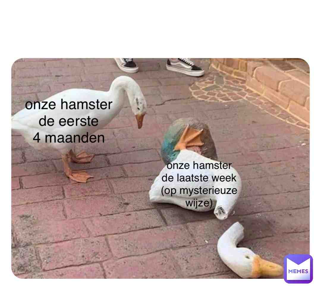 Meme shared by @marabroere