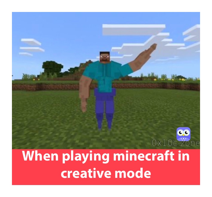 When playing minecraft in creative mode