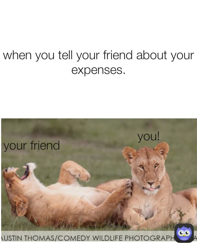 you! your friend when you tell your friend about your expenses.