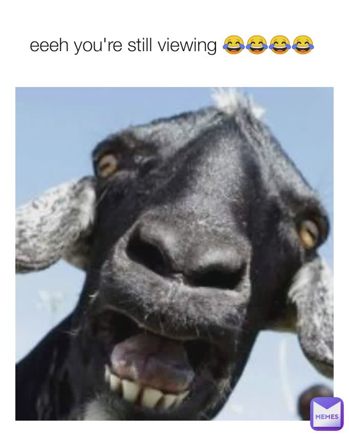 Meme by maambochibbonta22