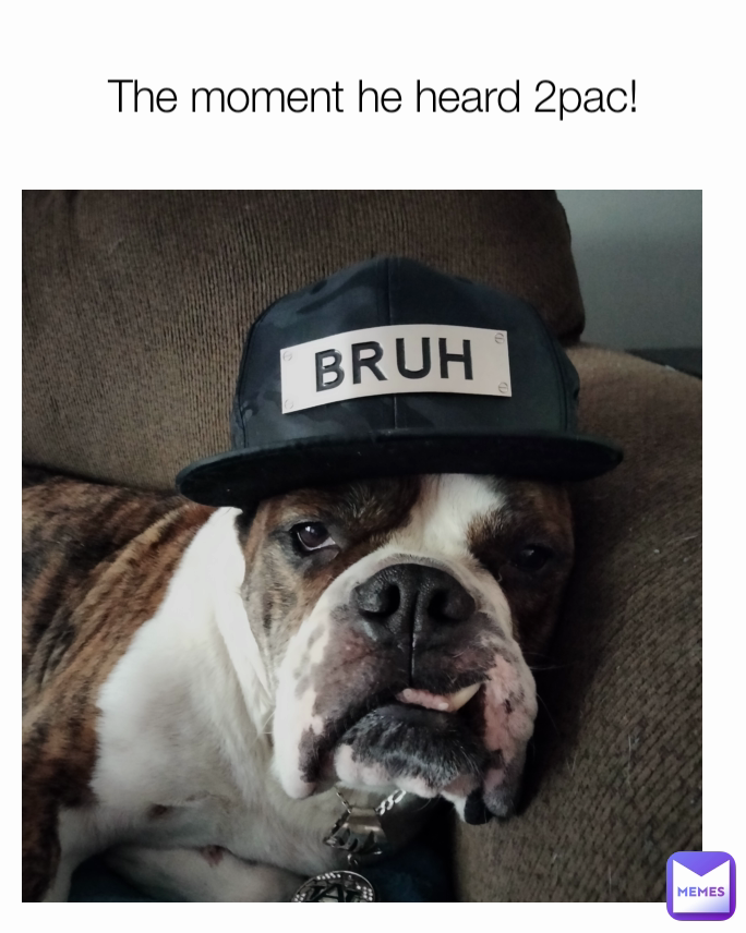 Meme by steven-knight