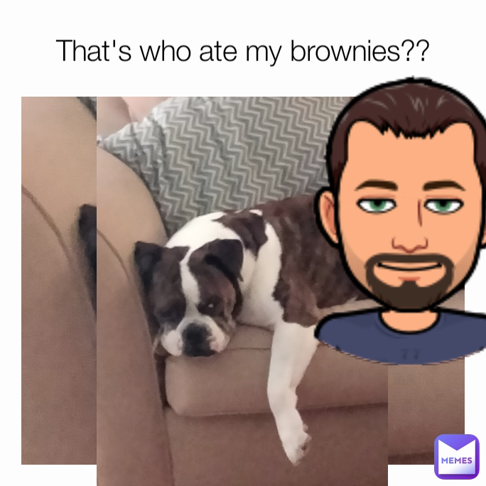 That's who ate my brownies??