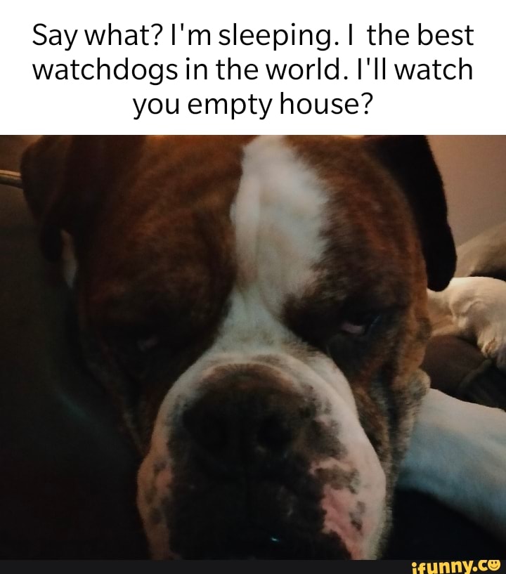 Meme by steven-knight