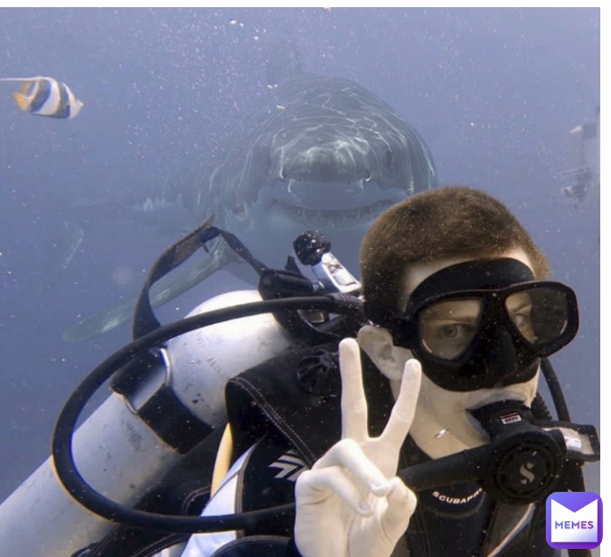 Meme by steven-knight